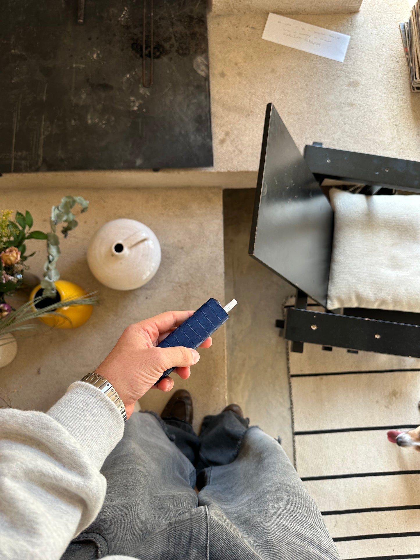 GLife's One Croco Case Bundle (4-Pack) — Compatible with ILUMA ONE